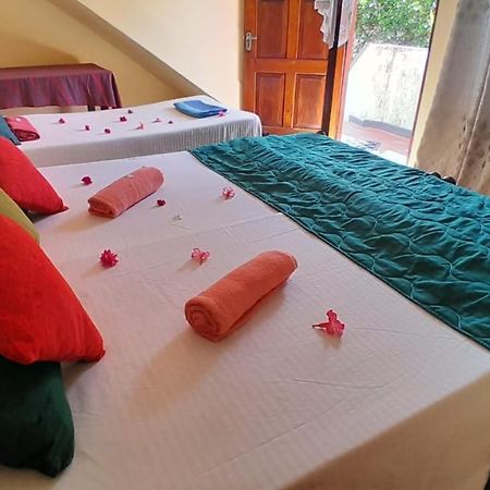 New Sea Lion Guest House Хиккадува Экстерьер фото