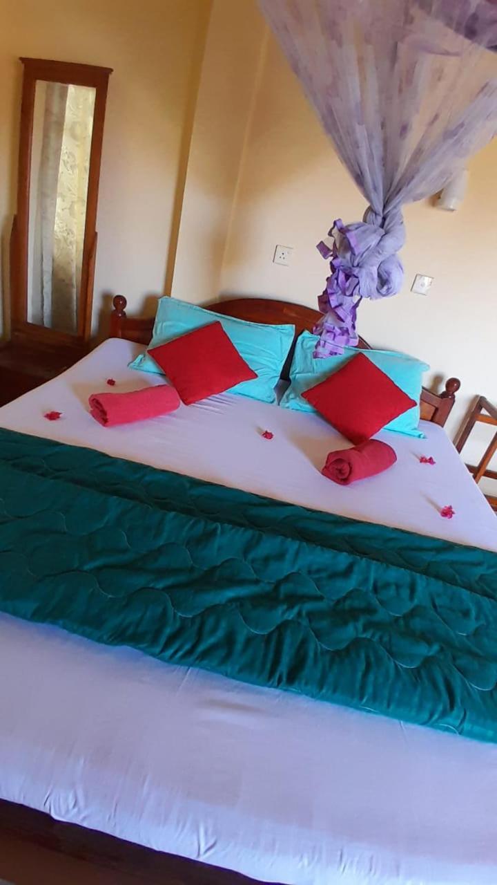 New Sea Lion Guest House Хиккадува Экстерьер фото
