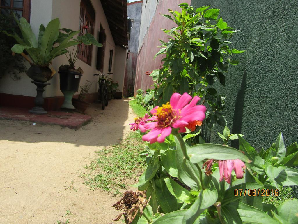 New Sea Lion Guest House Хиккадува Экстерьер фото