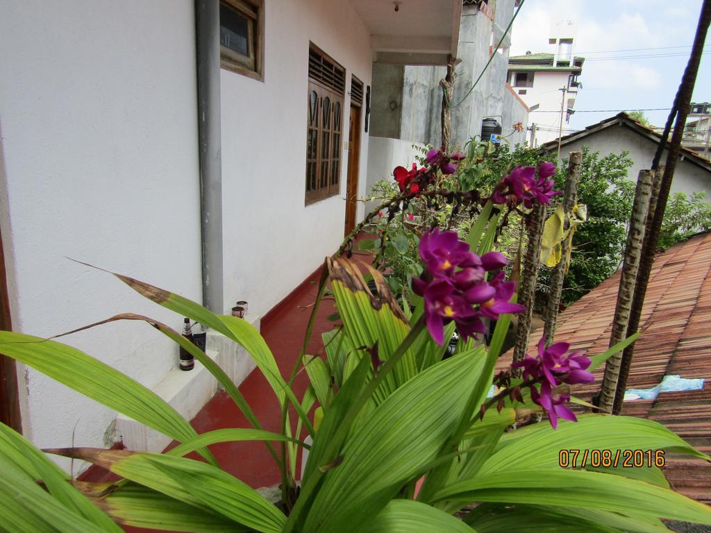 New Sea Lion Guest House Хиккадува Экстерьер фото